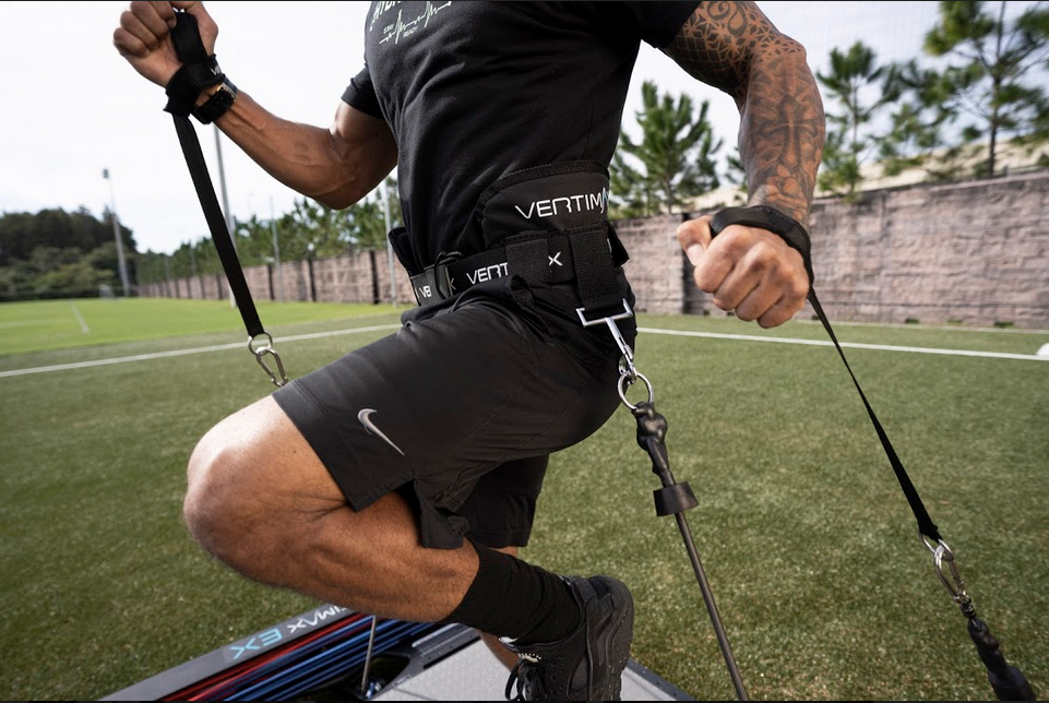 Waist Harness Belt w/ Pads