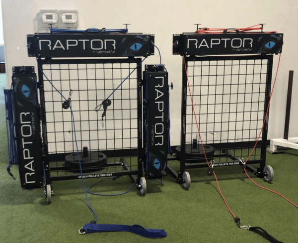 raptors mounted on vertimax portable rack