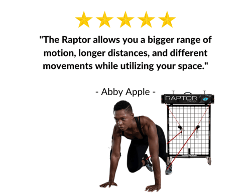 Raptor - ankle attachment-Abby Apple